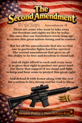 The Second Amendment