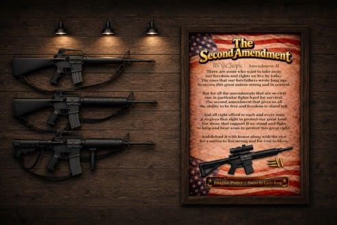 The Second Amendment